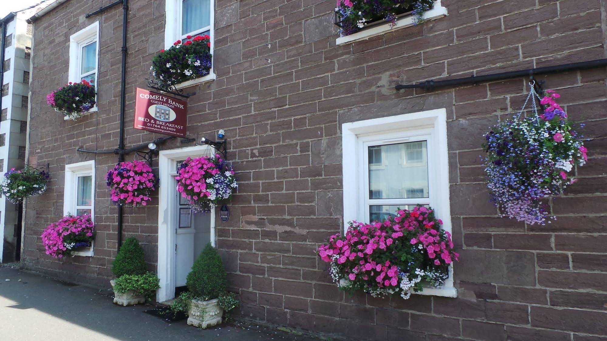 Comelybank Guesthouse 크리프 외부 사진